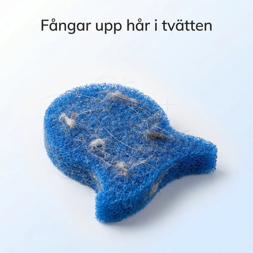 Lintfisken™ Orginal 6-Pack